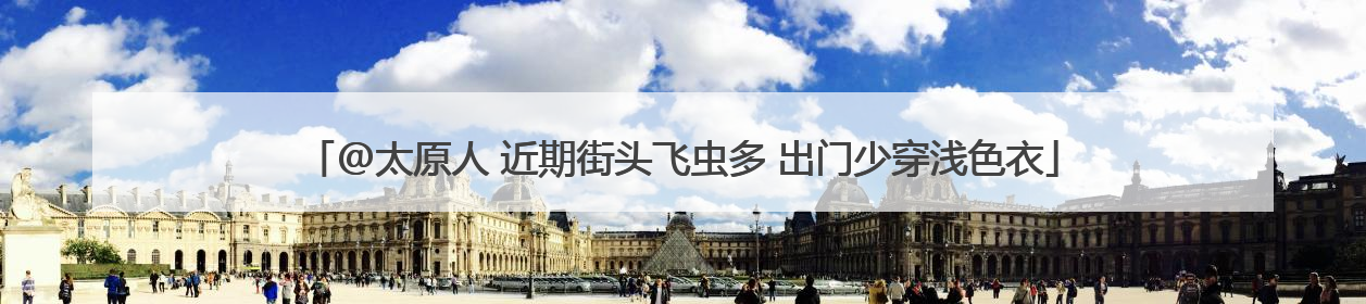@太原人 近期街头飞虫多 出门少穿浅色衣